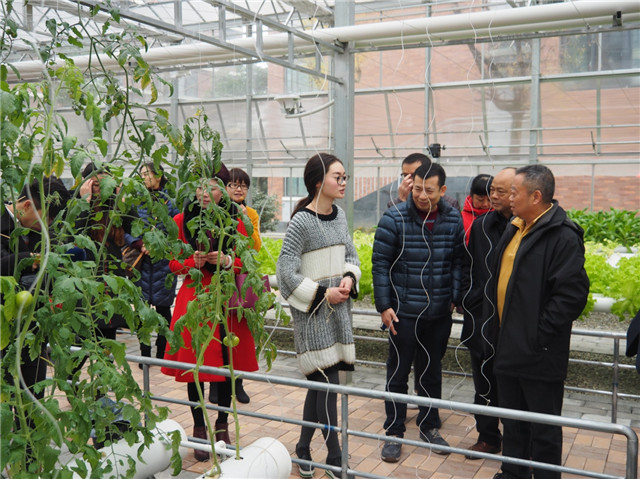 走進(jìn)東辰、多方共融、攜手共進(jìn)