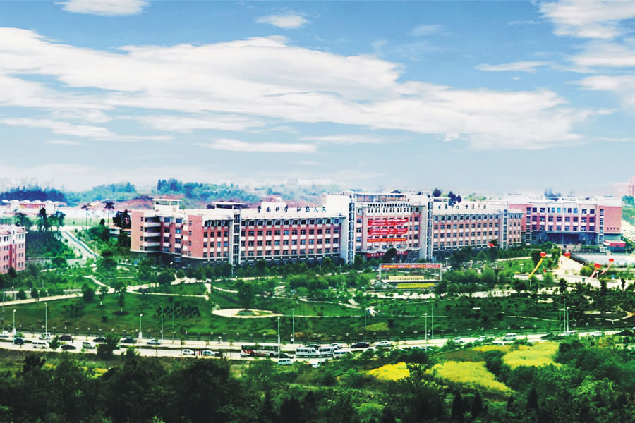 四川東辰教育管理集團有限公司