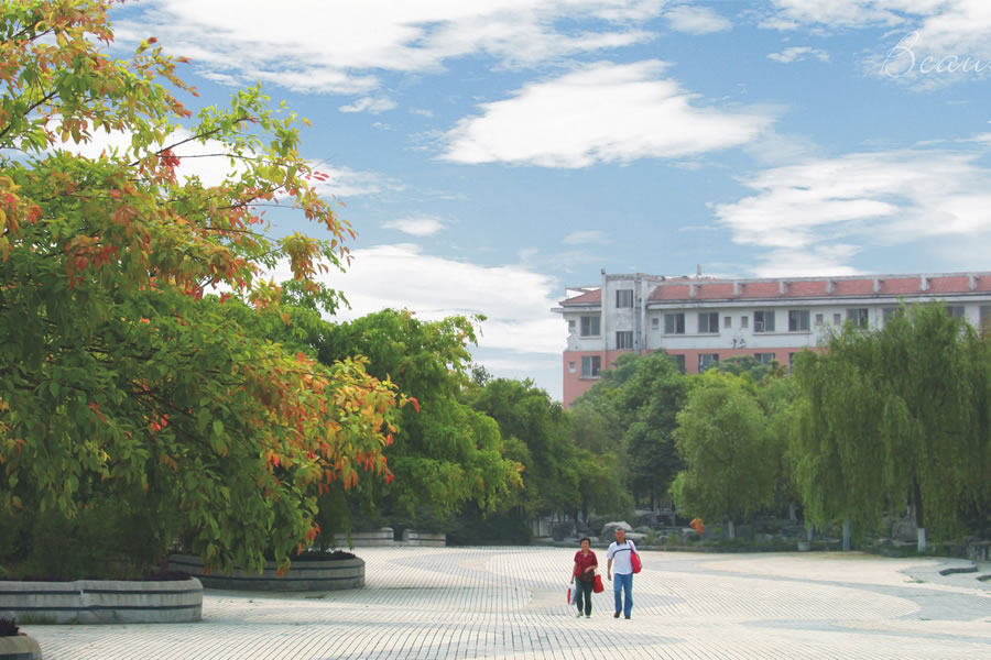 四川東辰教育管理集團有限公司