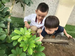 獲得國際學(xué)前教育界高度肯定的“安吉游戲”，東辰的幼兒園是怎么做的？