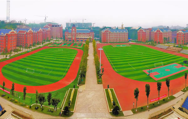 宜賓東辰國(guó)際學(xué)校